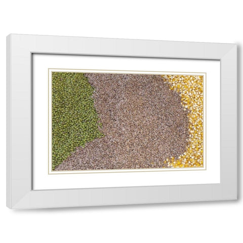 Mexico, Tecate Display of grains White Modern Wood Framed Art Print with Double Matting by Paulson, Don