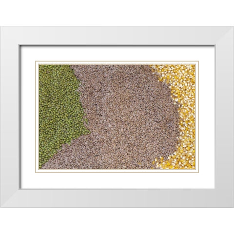 Mexico, Tecate Display of grains White Modern Wood Framed Art Print with Double Matting by Paulson, Don
