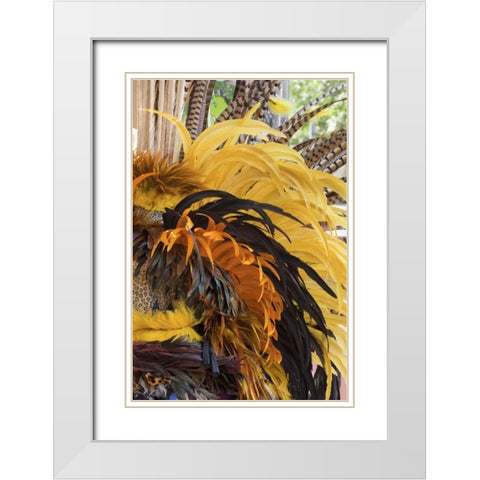 Mexico, San Miguel de Allende Aztec headdress White Modern Wood Framed Art Print with Double Matting by Paulson, Don