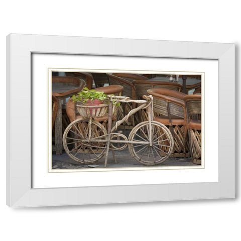 Mexico, Guanajuato Bicycle with potted plant White Modern Wood Framed Art Print with Double Matting by Paulson, Don