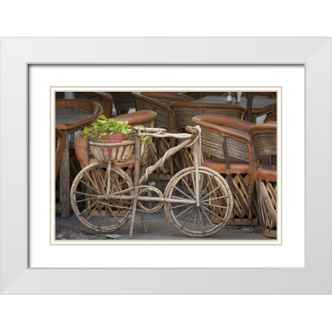 Mexico, Guanajuato Bicycle with potted plant White Modern Wood Framed Art Print with Double Matting by Paulson, Don