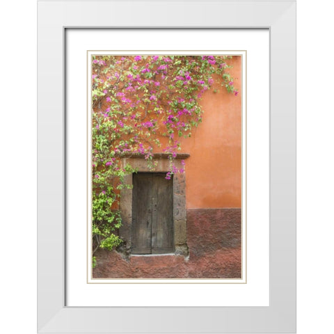 Mexico Bougainvillea outside wooden doorway White Modern Wood Framed Art Print with Double Matting by Paulson, Don