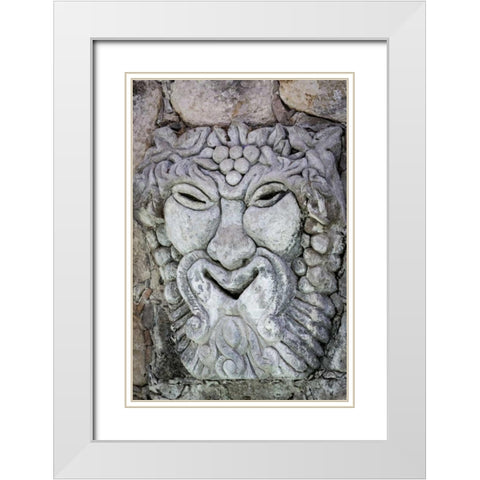 Mexico Detail of lion sculpture White Modern Wood Framed Art Print with Double Matting by Paulson, Don