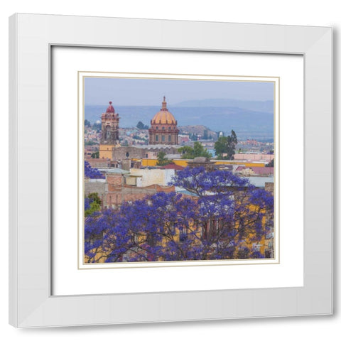 Mexico, San Miguel de Allende Jacaranda and city White Modern Wood Framed Art Print with Double Matting by Paulson, Don