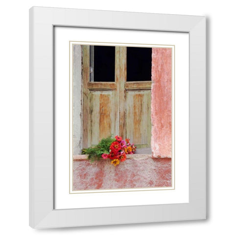 Mexico Zinnias outside window frame White Modern Wood Framed Art Print with Double Matting by Rotenberg, Nancy
