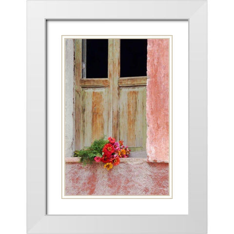 Mexico Zinnias outside window frame White Modern Wood Framed Art Print with Double Matting by Rotenberg, Nancy