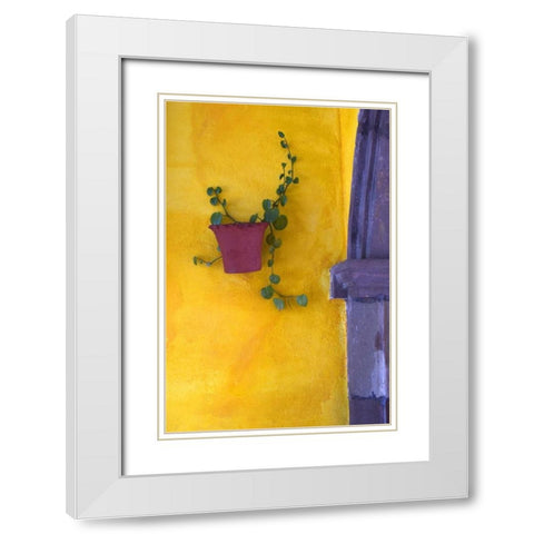 Mexico, San Miguel de Allende Planted pot White Modern Wood Framed Art Print with Double Matting by Rotenberg, Nancy