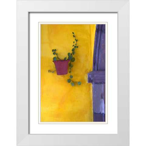 Mexico, San Miguel de Allende Planted pot White Modern Wood Framed Art Print with Double Matting by Rotenberg, Nancy