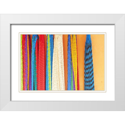 Mexico, Jalisco Hammocks sold by street vendors White Modern Wood Framed Art Print with Double Matting by Ross, Steve