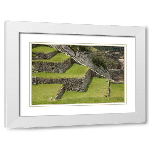 Agricultural terraces, Machu Picchu, Peru White Modern Wood Framed Art Print with Double Matting by Kaveney, Wendy
