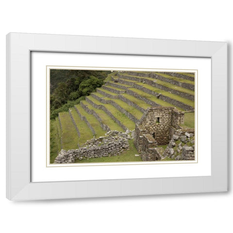 Peru, Machu Picchu Agricultural terraces White Modern Wood Framed Art Print with Double Matting by Kaveney, Wendy