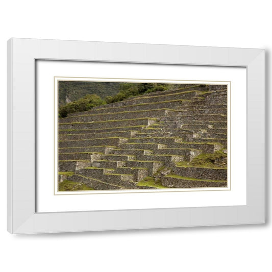 Perspective Image