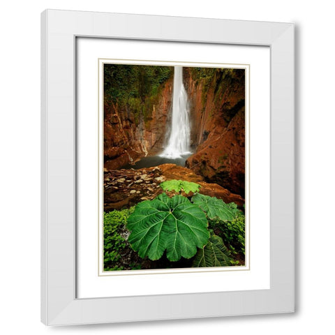 Catarata Del Toro Waterfall-in the mountains of Bajos del Toro Amarillo-Sarchi-Costa Rica White Modern Wood Framed Art Print with Double Matting by Jones, Adam