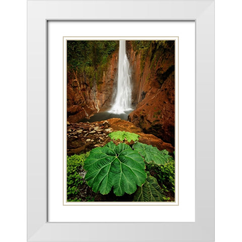 Catarata Del Toro Waterfall-in the mountains of Bajos del Toro Amarillo-Sarchi-Costa Rica White Modern Wood Framed Art Print with Double Matting by Jones, Adam