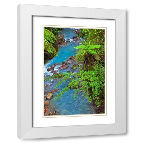 Small stream or creek-Costa Rica White Modern Wood Framed Art Print with Double Matting by Jones, Adam