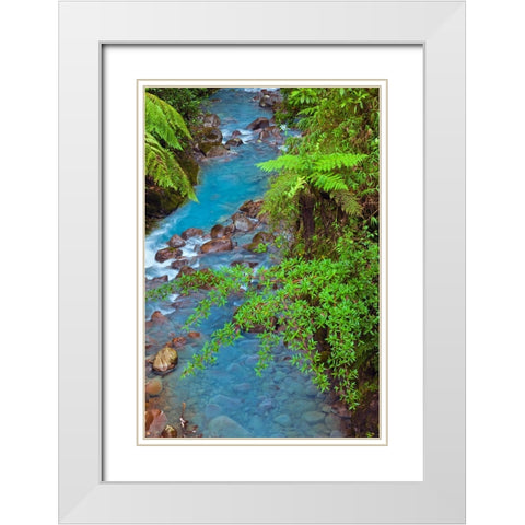Small stream or creek-Costa Rica White Modern Wood Framed Art Print with Double Matting by Jones, Adam