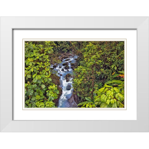 Small stream or creek-Costa Rica White Modern Wood Framed Art Print with Double Matting by Jones, Adam