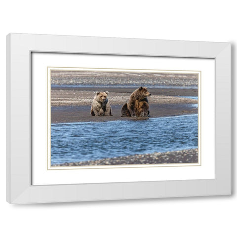 Adult female grizzly bear and cub fishing-Lake Clark National Park and Preserve-Alaska White Modern Wood Framed Art Print with Double Matting by Jones, Adam