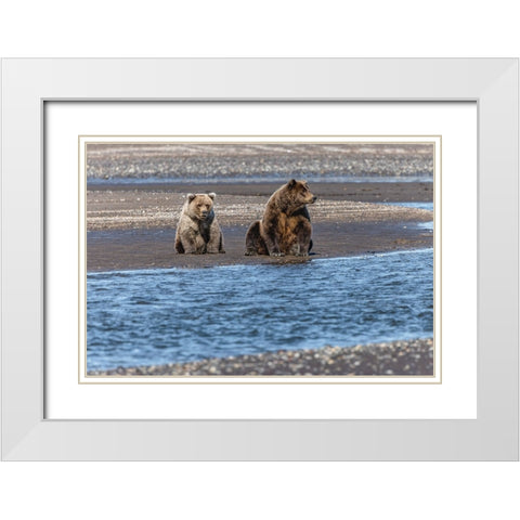 Adult female grizzly bear and cub fishing-Lake Clark National Park and Preserve-Alaska White Modern Wood Framed Art Print with Double Matting by Jones, Adam