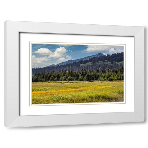 Meadow and mountains at Silver Salmon Creek-Lake Clark National Park and Preserve-Alaska White Modern Wood Framed Art Print with Double Matting by Jones, Adam