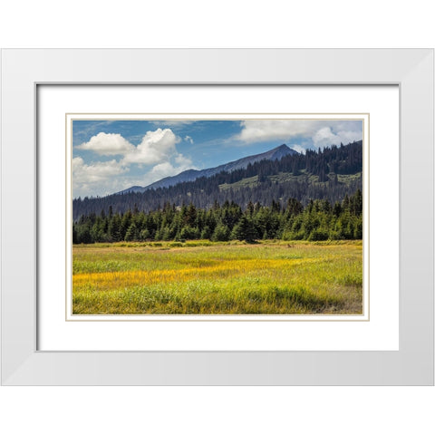 Meadow and mountains at Silver Salmon Creek-Lake Clark National Park and Preserve-Alaska White Modern Wood Framed Art Print with Double Matting by Jones, Adam