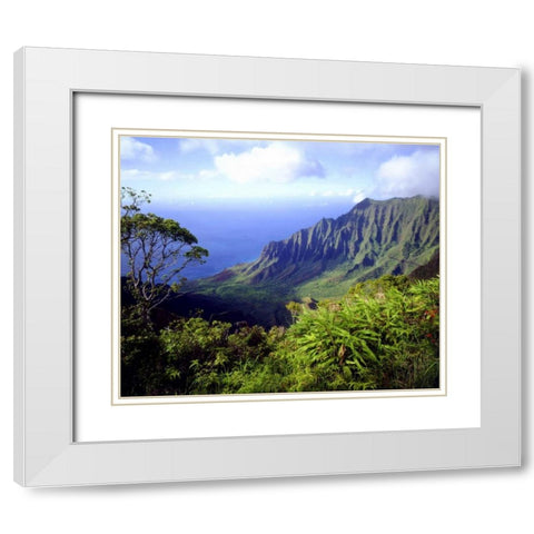 USA, Kauai, Hawaii View above the Na Pali Coast White Modern Wood Framed Art Print with Double Matting by Talbot Frank, Christopher