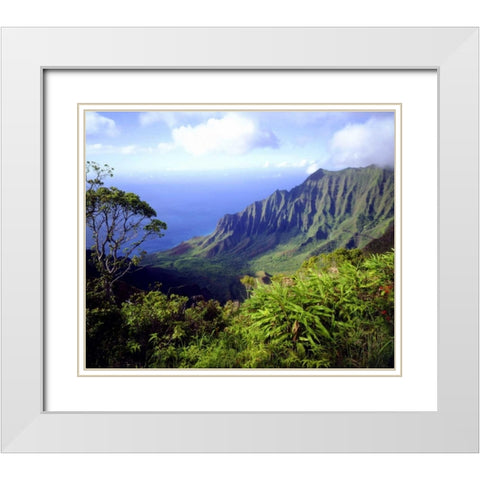 USA, Kauai, Hawaii View above the Na Pali Coast White Modern Wood Framed Art Print with Double Matting by Talbot Frank, Christopher