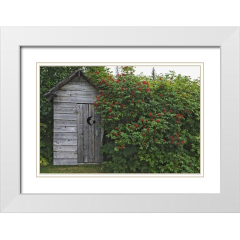 AK, Homer An outhouse with elderberries White Modern Wood Framed Art Print with Double Matting by Flaherty, Dennis
