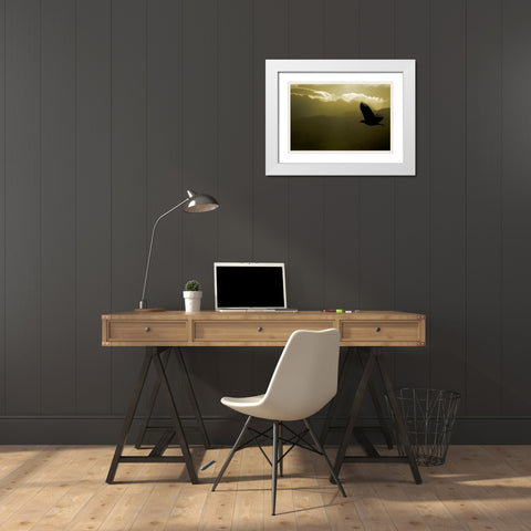 AK, Homer Silhouette of bald eagle flying White Modern Wood Framed Art Print with Double Matting by Morris, Arthur