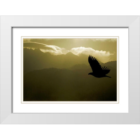 AK, Homer Silhouette of bald eagle flying White Modern Wood Framed Art Print with Double Matting by Morris, Arthur