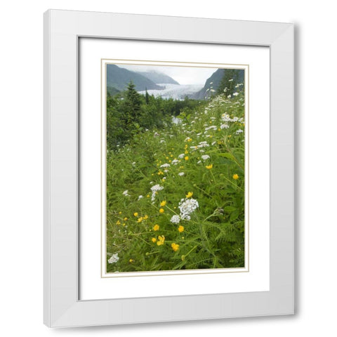 Alaska flowers with Mendenhall Glacier White Modern Wood Framed Art Print with Double Matting by Rotenberg, Nancy