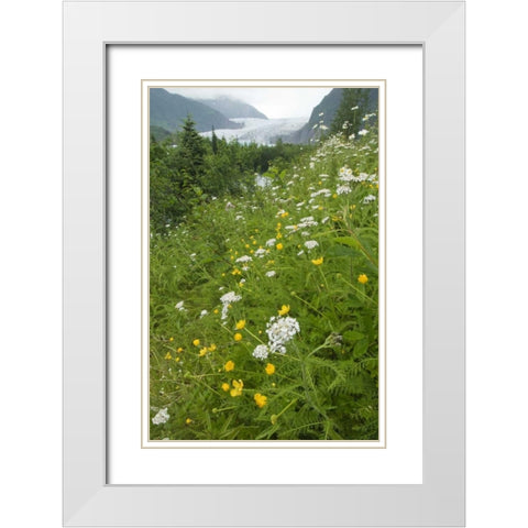 Alaska flowers with Mendenhall Glacier White Modern Wood Framed Art Print with Double Matting by Rotenberg, Nancy