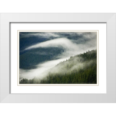 AK, Inside Passage Fog pattern over a mountain White Modern Wood Framed Art Print with Double Matting by Rotenberg, Nancy
