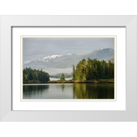Alaska, Inside Passage Foggy forest and Mountain White Modern Wood Framed Art Print with Double Matting by Rotenberg, Nancy