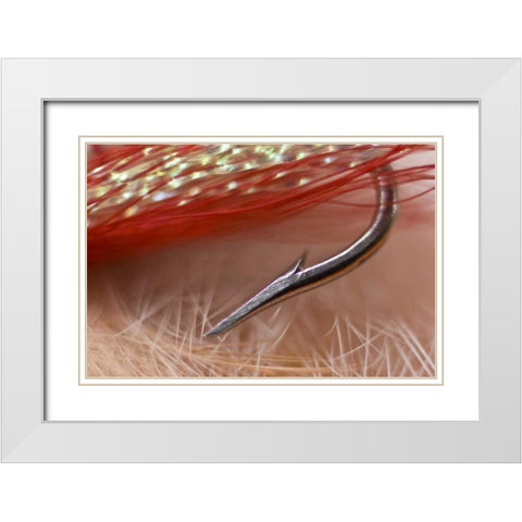 AK, Lake Clark NP Macro of a fishing hook White Modern Wood Framed Art Print with Double Matting by Kaveney, Wendy