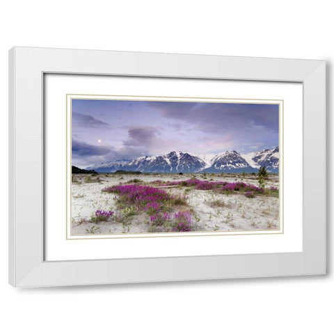 Alaska View of flowers and Fairweather Range White Modern Wood Framed Art Print with Double Matting by Paulson, Don