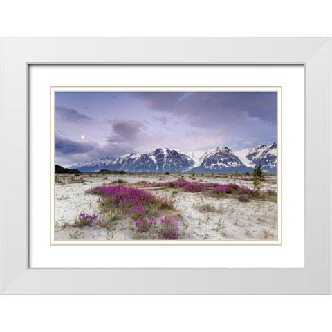 Alaska View of flowers and Fairweather Range White Modern Wood Framed Art Print with Double Matting by Paulson, Don