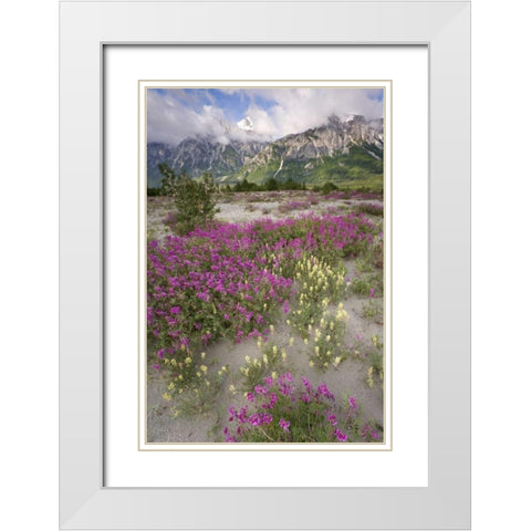 Alaska View of flowers and Fairweather Range White Modern Wood Framed Art Print with Double Matting by Paulson, Don