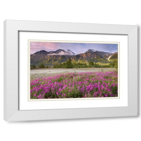 Alaska View of flowers and Fairweather Range White Modern Wood Framed Art Print with Double Matting by Paulson, Don