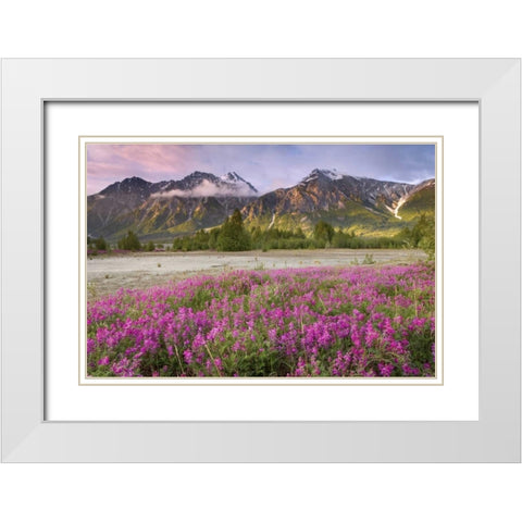 Alaska View of flowers and Fairweather Range White Modern Wood Framed Art Print with Double Matting by Paulson, Don