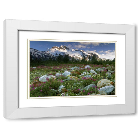 AK, Alsek-Tatshenshini Meadow landscape White Modern Wood Framed Art Print with Double Matting by Paulson, Don