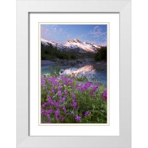 AK, Alsek-Tatshenshini Mountain landscape White Modern Wood Framed Art Print with Double Matting by Paulson, Don