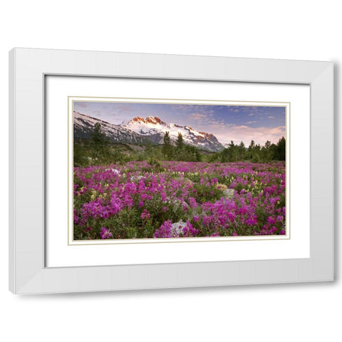 Alaska View of flowers and Fairweather Range White Modern Wood Framed Art Print with Double Matting by Paulson, Don