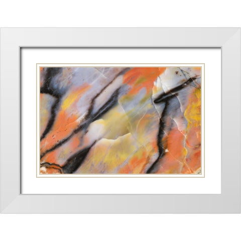 USA, Arizona Close-up of petrified wood White Modern Wood Framed Art Print with Double Matting by Kirkland, Dennis