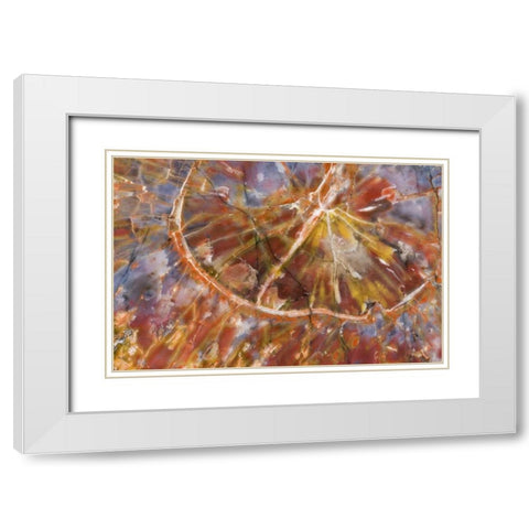 USA, Arizona Close-up of petrified wood White Modern Wood Framed Art Print with Double Matting by Kirkland, Dennis