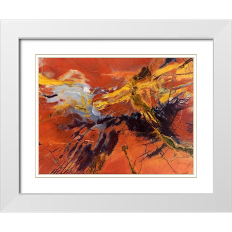 USA, Arizona Close-up of petrified wood White Modern Wood Framed Art Print with Double Matting by Kirkland, Dennis