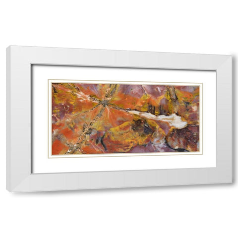 USA, Arizona Close-up of petrified wood White Modern Wood Framed Art Print with Double Matting by Kirkland, Dennis