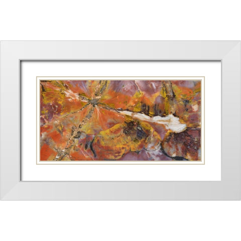 USA, Arizona Close-up of petrified wood White Modern Wood Framed Art Print with Double Matting by Kirkland, Dennis