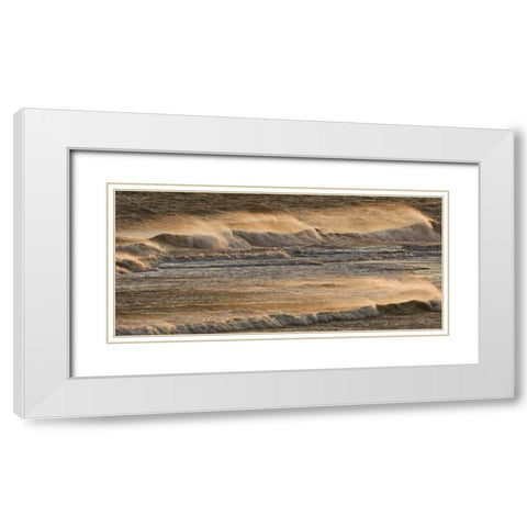 AK, Kachemak Bay Breaking waves at sunset White Modern Wood Framed Art Print with Double Matting by Grall, Don
