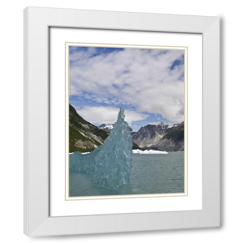 AK, Glacier Bay NP Floating iceberg White Modern Wood Framed Art Print with Double Matting by Paulson, Don